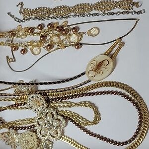 Elegant Gold Tone and Brown Women's Jewelry Lot